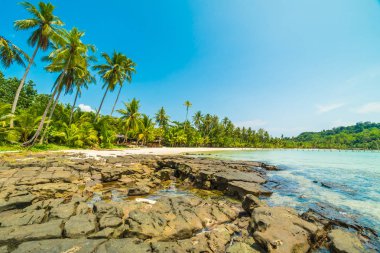 Güzel tropikal plaj ve deniz parad Hindistan cevizi hurma ağacı ile