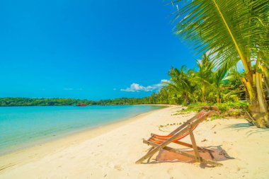 Güzel tropikal plaj ve deniz parad Hindistan cevizi hurma ağacı ile