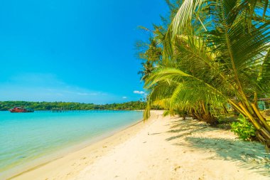 Güzel tropikal plaj ve deniz parad Hindistan cevizi hurma ağacı ile