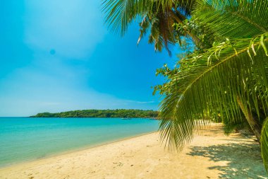Güzel tropikal plaj ve deniz parad Hindistan cevizi hurma ağacı ile