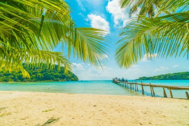 Güzel tropikal plaj ve deniz parad Hindistan cevizi hurma ağacı ile