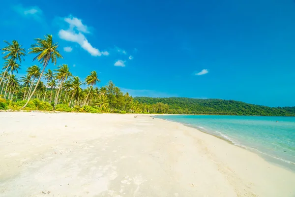 Beautiful nature tropical beach and sea with coconut palm tree o — Stock Photo, Image