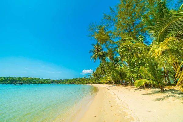 Beautiful tropical beach and sea with coconut palm tree in parad — Stock Photo, Image