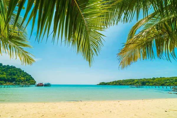 Güzel tropikal plaj ve deniz parad Hindistan cevizi hurma ağacı ile