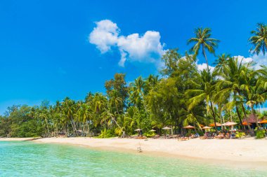 Güzel tropikal plaj ve deniz