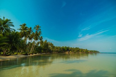 Güzel cennet ada plaj ve deniz