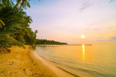 Plaj ve deniz çevresinde Hindistan cevizi hurma ile güzel cennet ada