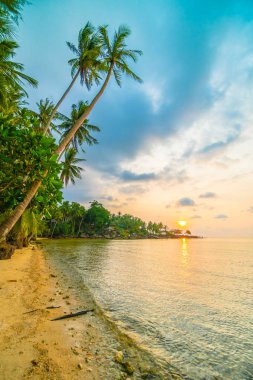 Plaj ve deniz çevresinde Hindistan cevizi hurma ile güzel cennet ada