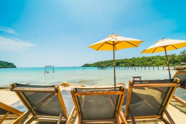 Güzel tropikal plaj ve deniz parad Hindistan cevizi hurma ağacı ile