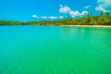 Güzel tropikal plaj ve deniz parad Hindistan cevizi hurma ağacı ile