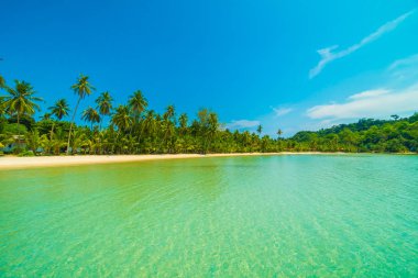 Güzel tropikal plaj ve deniz parad Hindistan cevizi hurma ağacı ile