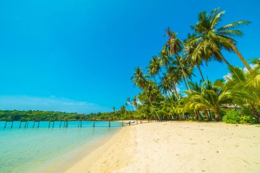 Güzel tropikal plaj ve deniz parad Hindistan cevizi hurma ağacı ile
