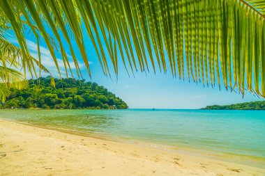 Güzel tropikal plaj ve deniz parad Hindistan cevizi hurma ağacı ile