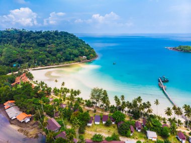 Plaj ve deniz ile Hindistan cevizi hurma ağacı güzel havadan görünümü