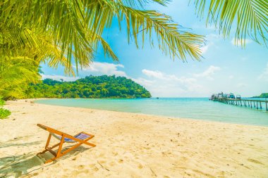 Güzel tropikal plaj ve deniz parad Hindistan cevizi hurma ağacı ile