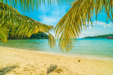 Güzel tropikal plaj ve deniz parad Hindistan cevizi hurma ağacı ile