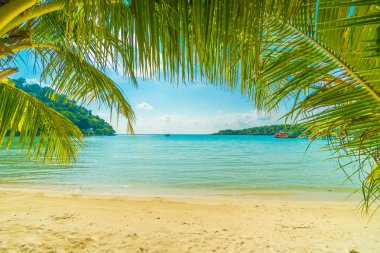 Güzel tropikal plaj ve deniz parad Hindistan cevizi hurma ağacı ile
