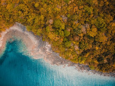 Güzel doğa tropikal plaj ve deniz ile Hindistan cevizi hurma ağacı o