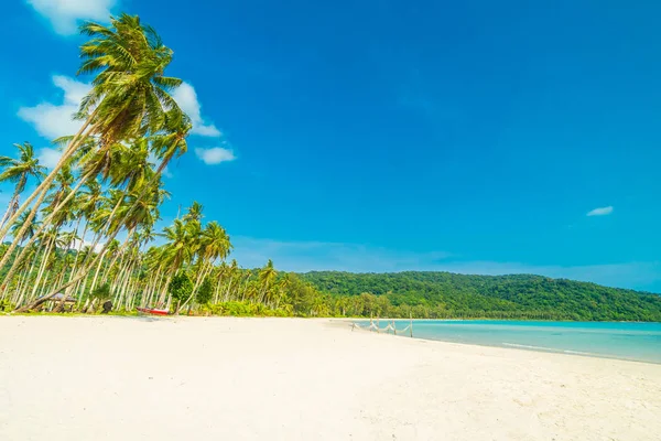 Bella natura spiaggia tropicale e mare con palma da cocco o — Foto Stock