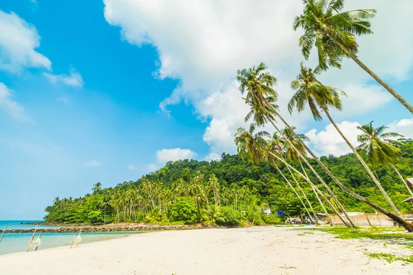 Vackra tropiska stranden och havet med coconut Palm i parad — Stockfoto