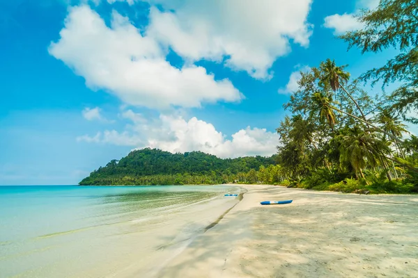 Belle plage tropicale et mer avec cocotier en parad — Photo