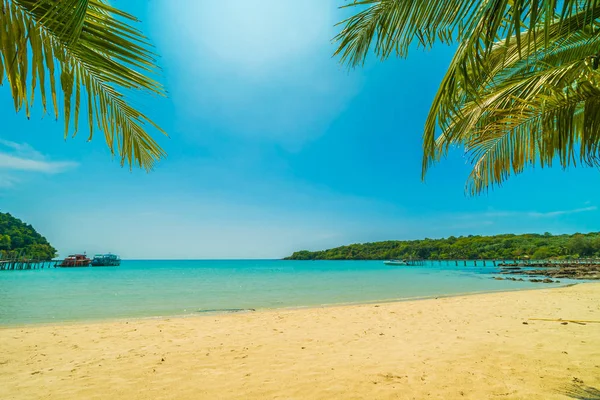 Bela praia tropical e mar com coqueiro em parad — Fotografia de Stock