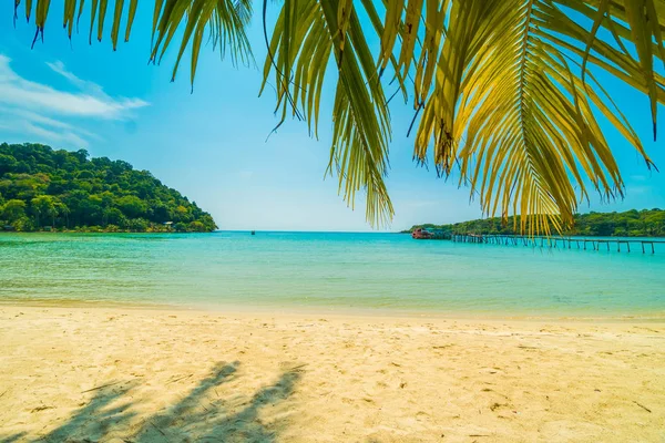 아름 다운 열 대 해변과 parad 코코넛 야자수와 바다 — 스톡 사진