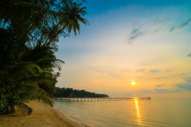 Plaj ve deniz çevresinde Hindistan cevizi hurma ile güzel cennet ada