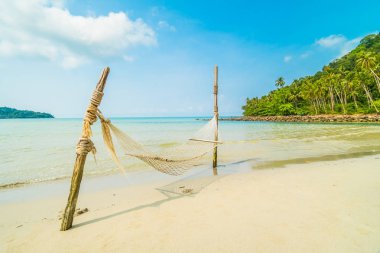 Hamak güzel tropikal plaj ve deniz ile Hindistan cevizi dostum