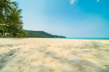 Güzel tropikal plaj ve deniz parad Hindistan cevizi hurma ağacı ile