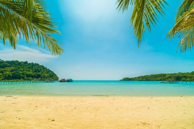 Güzel tropikal plaj ve deniz parad Hindistan cevizi hurma ağacı ile