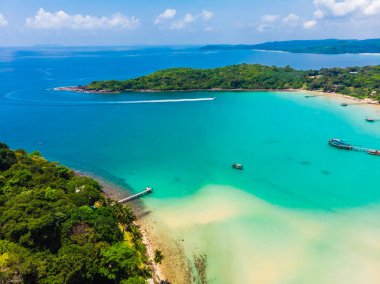 Plaj ve deniz ile Hindistan cevizi hurma ağacı güzel havadan görünümü