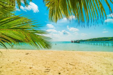 Güzel tropikal plaj ve deniz parad Hindistan cevizi hurma ağacı ile