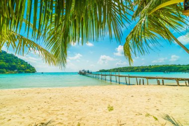 Güzel tropikal plaj ve deniz parad Hindistan cevizi hurma ağacı ile
