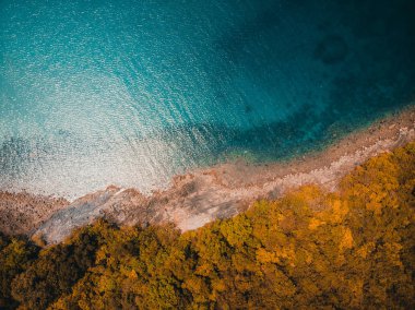 Güzel doğa tropikal plaj ve deniz ile Hindistan cevizi hurma ağacı o