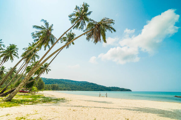 Beautiful tropical beach and sea with coconut palm tree in parad