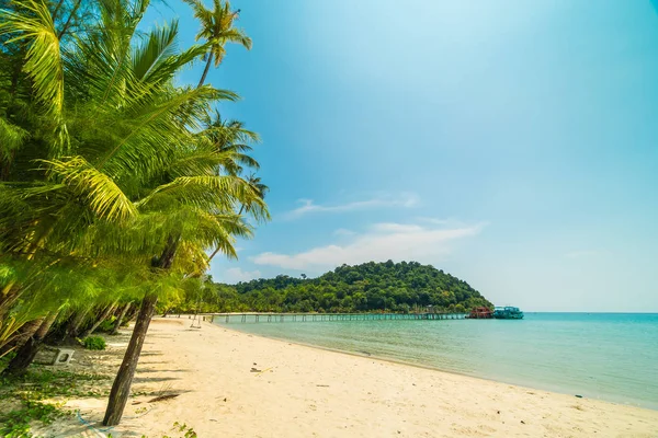 Belle plage tropicale et mer avec cocotier en parad — Photo