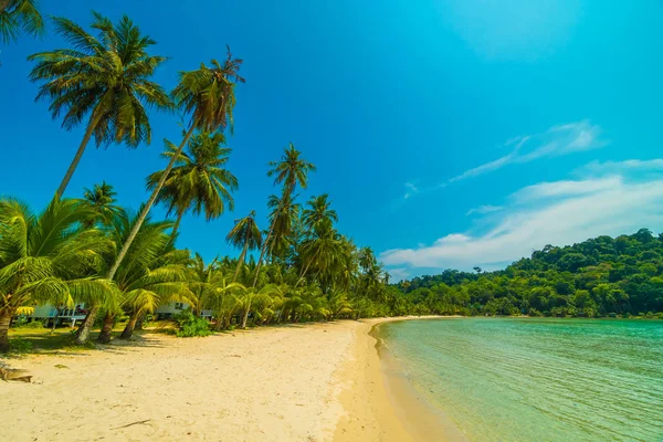 Beautiful tropical beach and sea with coconut palm tree in parad — Stock Photo, Image