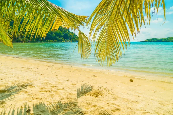 Plajă tropicală frumoasă și mare cu palmier de nucă de cocos în paradă — Fotografie, imagine de stoc