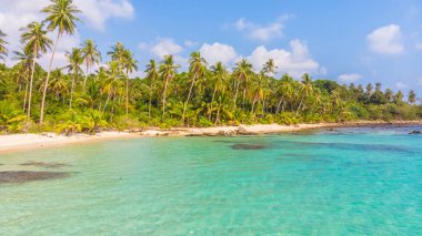 Güzel bir plaj ve deniz Hindistan cevizi hurma ağacı ile havadan görünümü