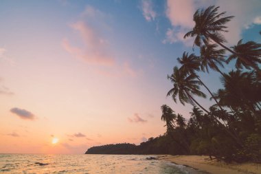 Güzel cennet ada plaj ve deniz