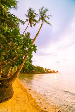 Plaj ve deniz çevresinde Hindistan cevizi hurma ile güzel cennet ada
