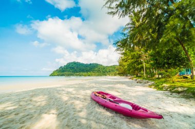 Kayık teknede güzel tropikal plaj ve deniz ile Hindistan cevizi 