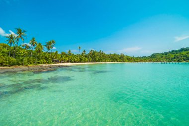 Güzel tropikal plaj ve deniz parad Hindistan cevizi hurma ağacı ile