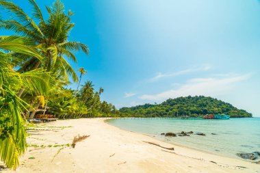 Güzel tropikal plaj ve deniz parad Hindistan cevizi hurma ağacı ile