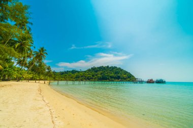 Güzel tropikal plaj ve deniz parad Hindistan cevizi hurma ağacı ile