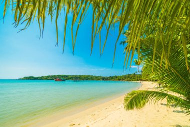 Güzel tropikal plaj ve deniz parad Hindistan cevizi hurma ağacı ile