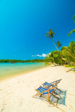 Güzel tropikal plaj ve deniz parad Hindistan cevizi hurma ağacı ile