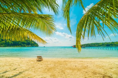Güzel tropikal plaj ve deniz parad Hindistan cevizi hurma ağacı ile