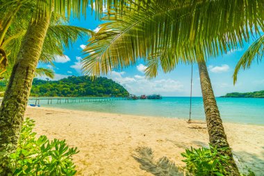 Güzel tropikal plaj ve deniz parad Hindistan cevizi hurma ağacı ile